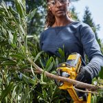 DeWalt DCMPP568P1 18V XR Cordless 38mm Pruner incl. 1x 5.0Ah Battery