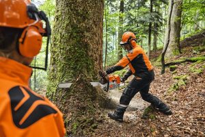 STIHL MS 881 Petrol Chainsaw | .404″ RS Cutting Attachment 75 cm