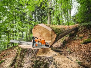 STIHL MS 881 Petrol Chainsaw | .404″ RS Cutting Attachment 63 cm