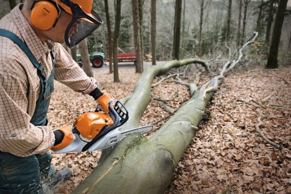 STIHL MS 391 Petrol Chainsaw | 3/8″ RM Cutting Attachment 40 cm