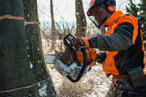 STIHL MS 661 C-M Petrol Chainsaw | 3/8″ RS Cutting Attachment 50 cm