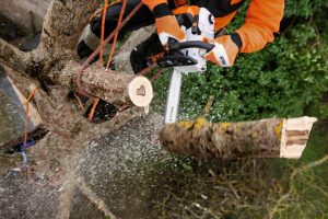 STIHL MS 201 TC-M Petrol Chainsaw | 3/8″ PS3 Pro Cutting Attachment 35 cm
