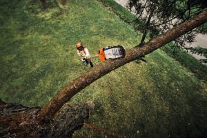 STIHL HTA 160 Cordless Pole Pruner | 1/4″ PM3 Cutting Attachment 30 cm