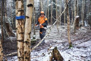 STIHL HTA 150 Cordless Pole Pruner | Forestry Version | 3/8″ PM3 Cutting Attachment 30 cm