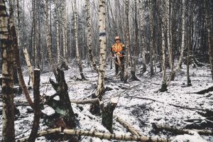 STIHL HTA 150 Cordless Pole Pruner | Forestry Version | 3/8″ PM3 Cutting Attachment 30 cm