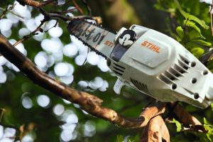 STIHL HTA 86 Cordless Pole Pruner | 1/4″ PM3 Cutting Attachment 30 cm