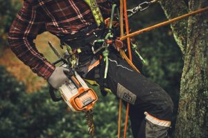 STIHL MSA 220 T Cordless Chainsaw | 3/8″ PS3 Pro Cutting Attachment 35 cm