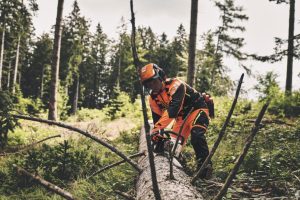 STIHL MS 400 C-M VW Petrol Chainsaw | 3/8″ RS Cutting Attachment 45 cm