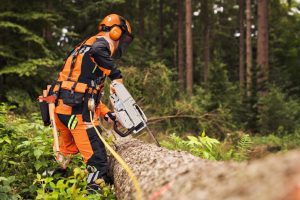 STIHL MS 400 C-M VW Petrol Chainsaw | 3/8″ RS Cutting Attachment 45 cm