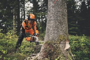 STIHL MS 400 C-M Petrol Chainsaw | 3/8″ RH Cutting Attachment 40 cm