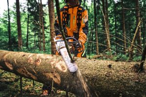 STIHL MS 300 C-M Petrol Chainsaw | .325″ RS Pro Cutting Attachment 35 cm