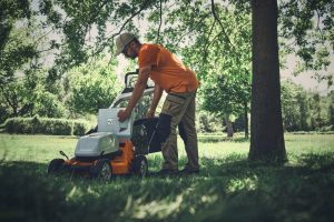 STIHL RMA 750 V Cordless Lawn Mower